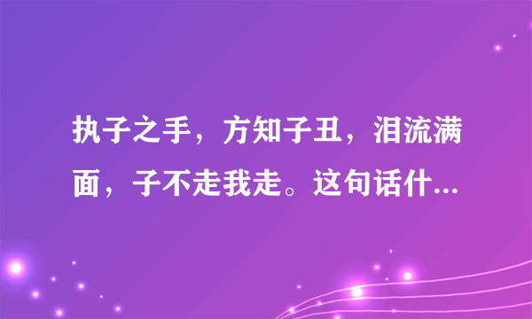 执子之手，方知子丑，泪流满面，子不走我走。这句话什么意思？