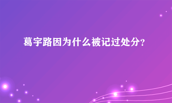 葛宇路因为什么被记过处分？