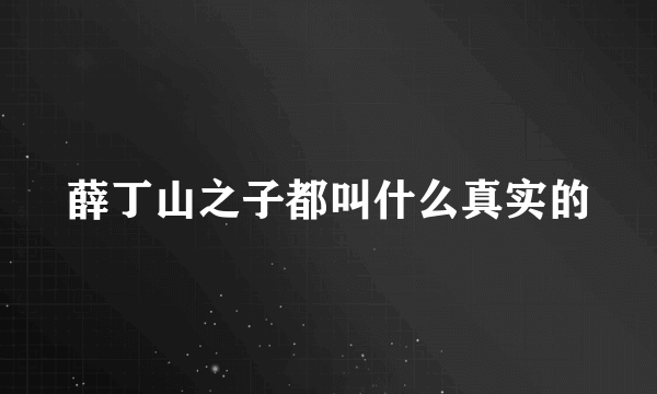 薛丁山之子都叫什么真实的