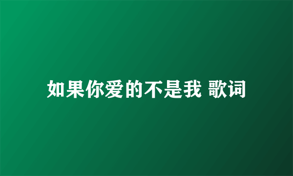 如果你爱的不是我 歌词