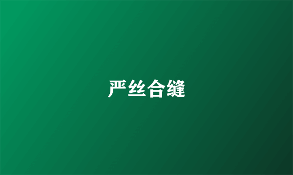 严丝合缝