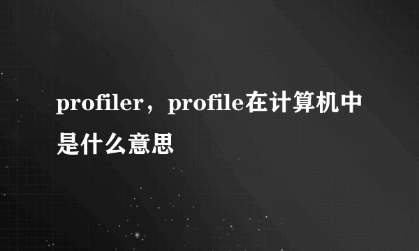 profiler，profile在计算机中是什么意思