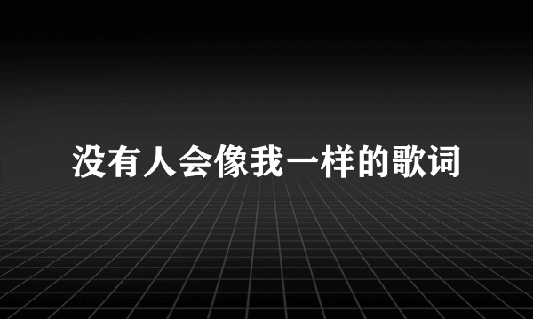 没有人会像我一样的歌词