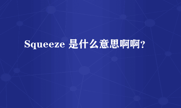 Squeeze 是什么意思啊啊？