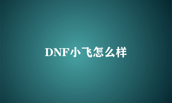 DNF小飞怎么样