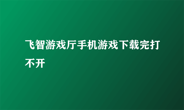 飞智游戏厅手机游戏下载完打不开