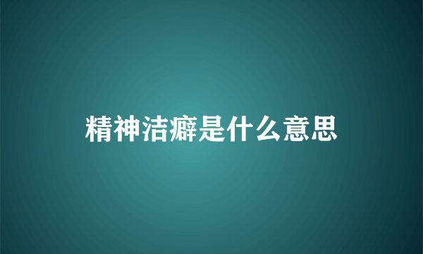 精神洁癖是什么意思