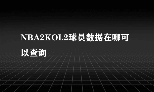 NBA2KOL2球员数据在哪可以查询