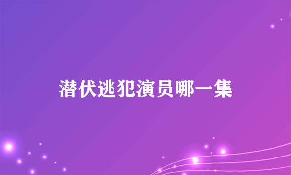 潜伏逃犯演员哪一集