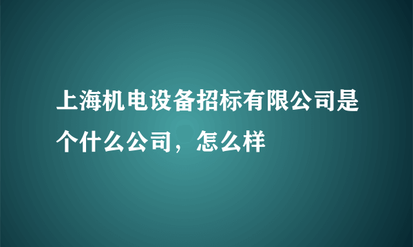 上海机电设备招标有限公司是个什么公司，怎么样