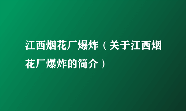 江西烟花厂爆炸（关于江西烟花厂爆炸的简介）