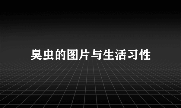 臭虫的图片与生活习性