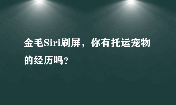 金毛Siri刷屏，你有托运宠物的经历吗？