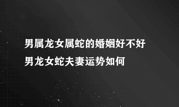 男属龙女属蛇的婚姻好不好 男龙女蛇夫妻运势如何