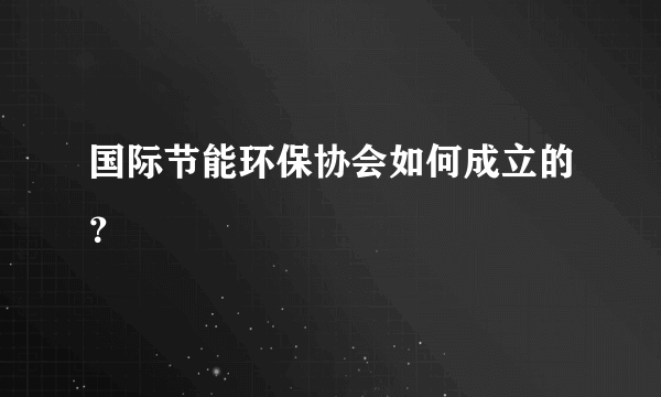 国际节能环保协会如何成立的？