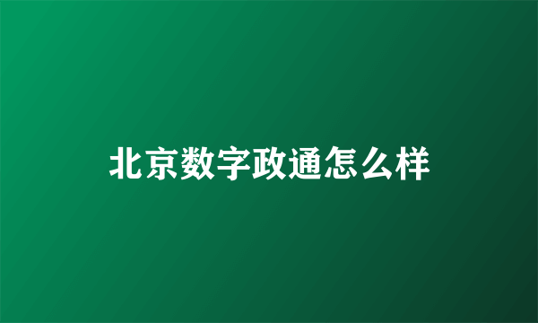 北京数字政通怎么样