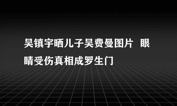 吴镇宇晒儿子吴费曼图片  眼睛受伤真相成罗生门