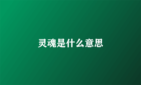 灵魂是什么意思