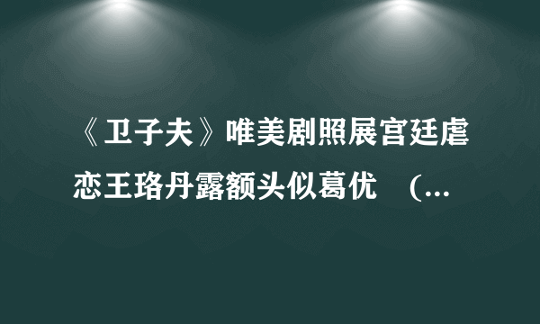 《卫子夫》唯美剧照展宫廷虐恋王珞丹露额头似葛优　(9/23)