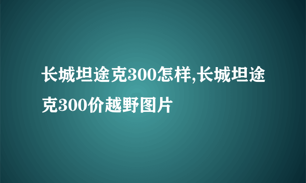 长城坦途克300怎样,长城坦途克300价越野图片