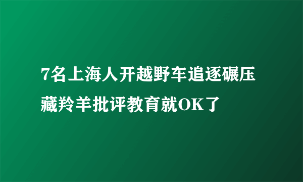 7名上海人开越野车追逐碾压藏羚羊批评教育就OK了