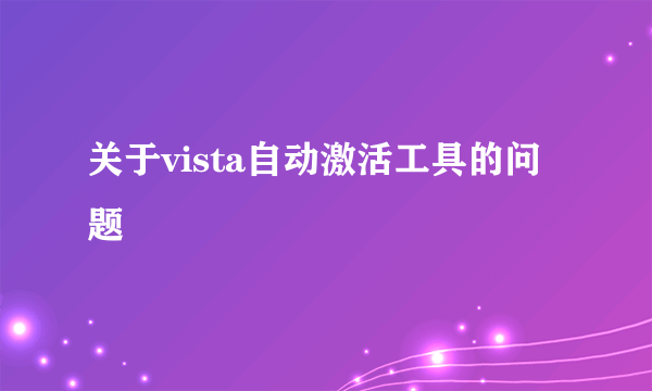 关于vista自动激活工具的问题