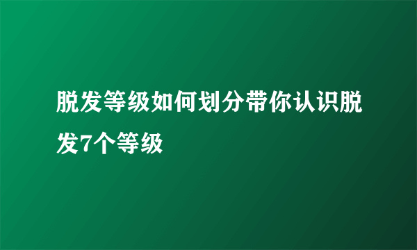 脱发等级如何划分带你认识脱发7个等级