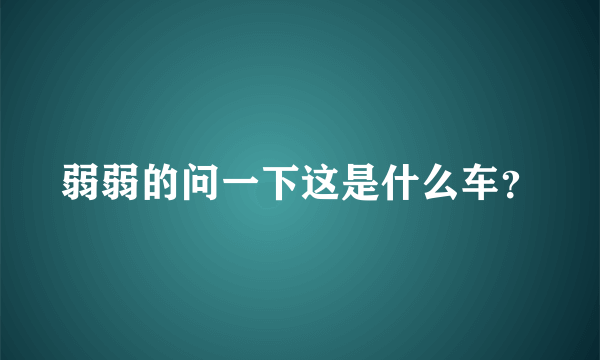 弱弱的问一下这是什么车？