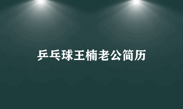 乒乓球王楠老公简历