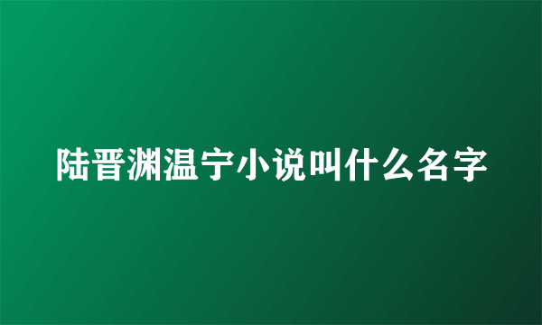 陆晋渊温宁小说叫什么名字