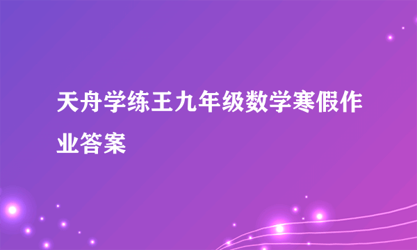 天舟学练王九年级数学寒假作业答案