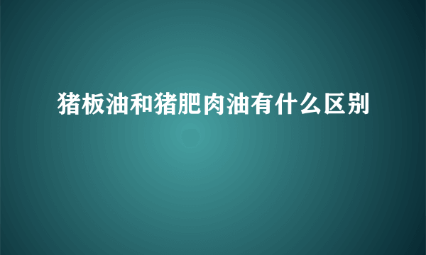 猪板油和猪肥肉油有什么区别