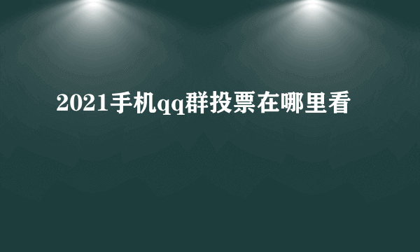 2021手机qq群投票在哪里看