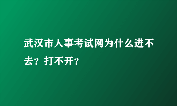 武汉市人事考试网为什么进不去？打不开？