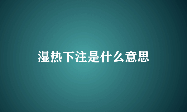 湿热下注是什么意思