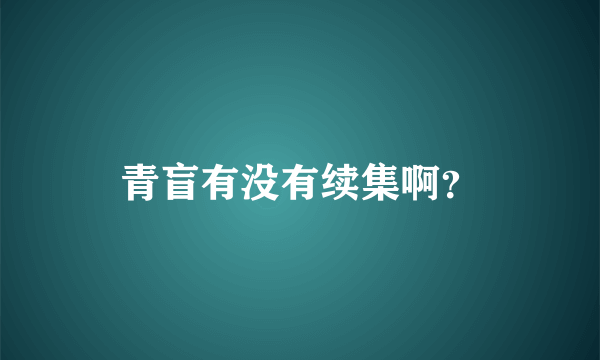 青盲有没有续集啊？