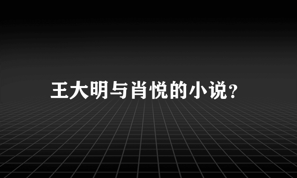 王大明与肖悦的小说？