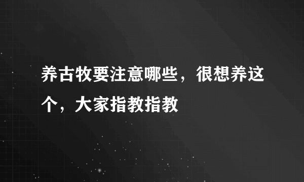 养古牧要注意哪些，很想养这个，大家指教指教