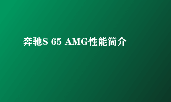 奔驰S 65 AMG性能简介