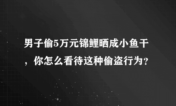 男子偷5万元锦鲤晒成小鱼干，你怎么看待这种偷盗行为？