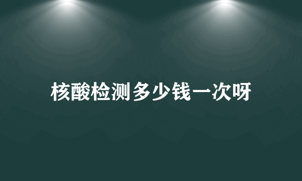 核酸检测多少钱一次呀