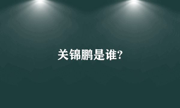 关锦鹏是谁?