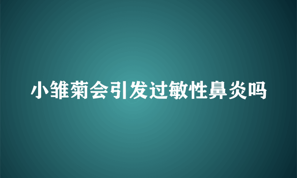 小雏菊会引发过敏性鼻炎吗