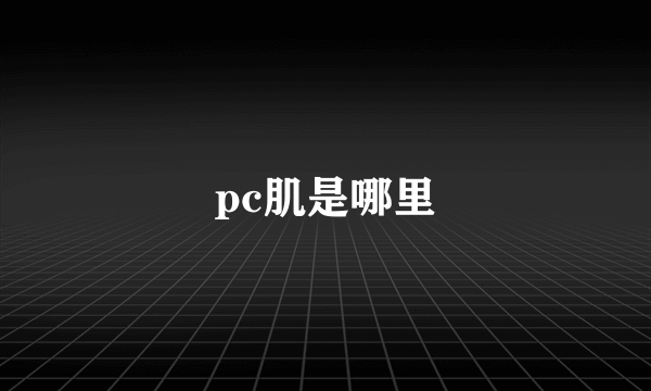 pc肌是哪里