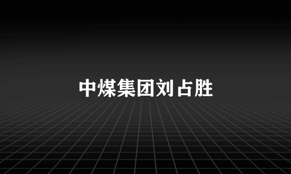 中煤集团刘占胜