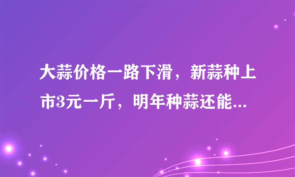 大蒜价格一路下滑，新蒜种上市3元一斤，明年种蒜还能赚到钱吗？