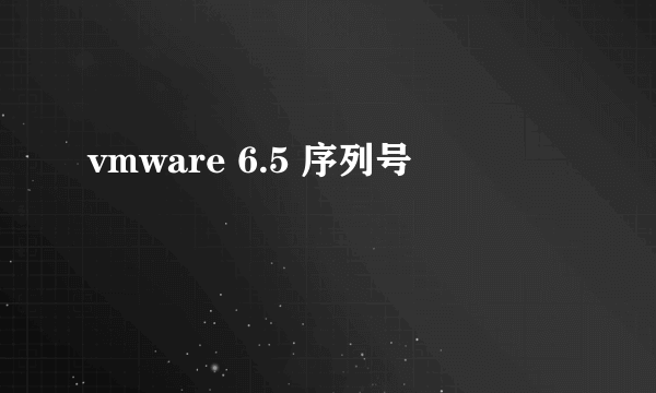 vmware 6.5 序列号