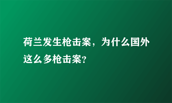 荷兰发生枪击案，为什么国外这么多枪击案？