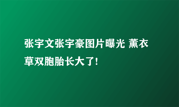 张宇文张宇豪图片曝光 薰衣草双胞胎长大了!