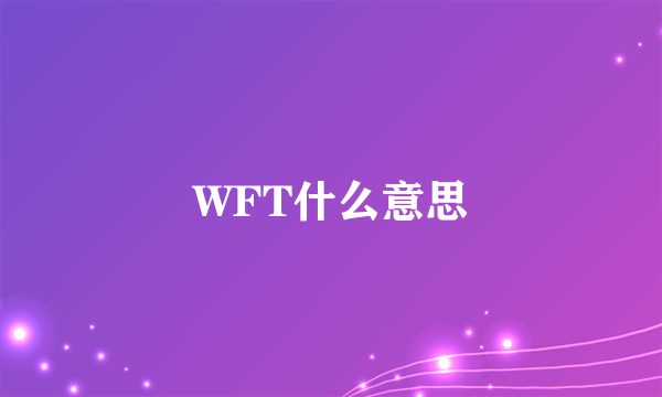 WFT什么意思